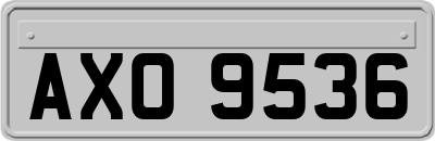 AXO9536