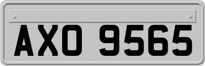 AXO9565
