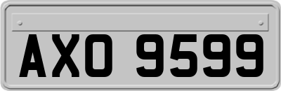 AXO9599