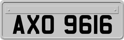 AXO9616