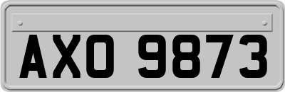 AXO9873