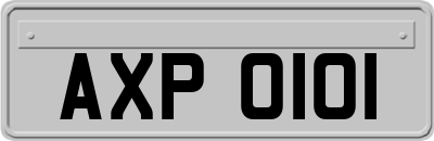 AXP0101