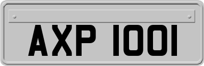 AXP1001