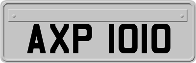 AXP1010
