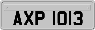 AXP1013