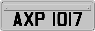 AXP1017