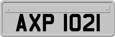 AXP1021