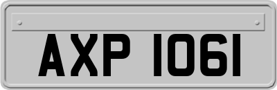 AXP1061