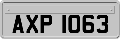 AXP1063
