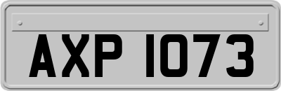 AXP1073