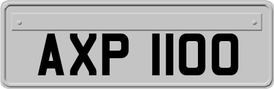AXP1100
