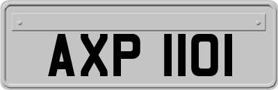 AXP1101