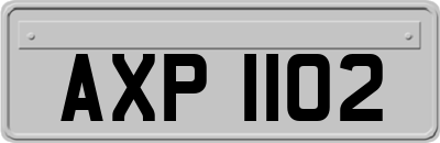 AXP1102