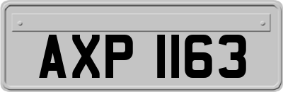 AXP1163