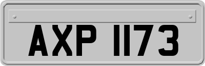 AXP1173