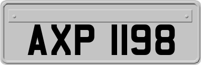 AXP1198