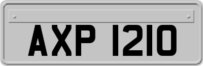AXP1210
