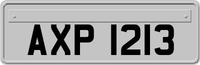 AXP1213
