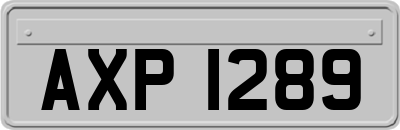 AXP1289