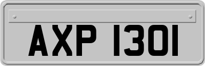 AXP1301