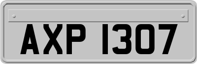 AXP1307