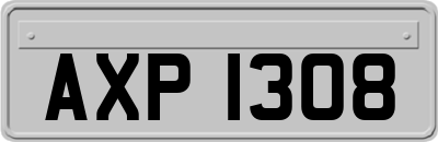 AXP1308