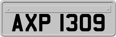 AXP1309