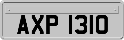 AXP1310