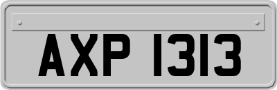 AXP1313
