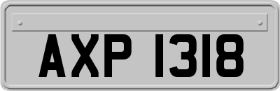 AXP1318
