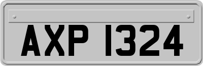 AXP1324