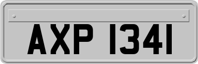 AXP1341