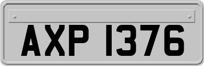 AXP1376