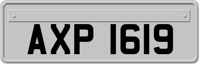 AXP1619