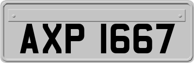 AXP1667