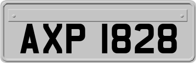 AXP1828