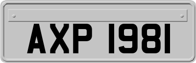 AXP1981