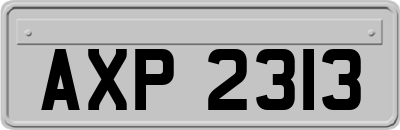 AXP2313