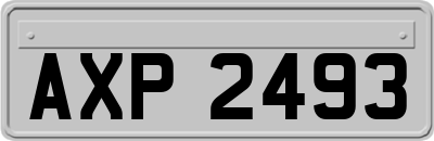 AXP2493