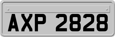 AXP2828