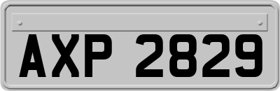 AXP2829