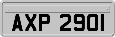 AXP2901