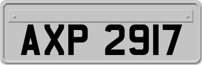 AXP2917