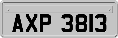 AXP3813