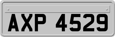 AXP4529