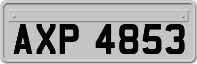AXP4853