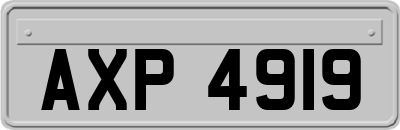 AXP4919