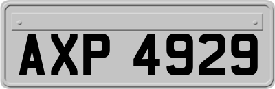 AXP4929
