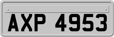 AXP4953