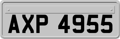AXP4955